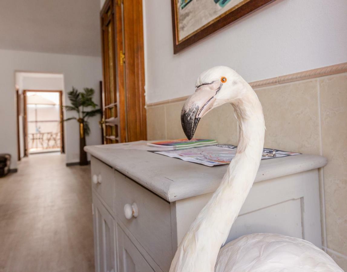 Alhaurin Old Town, Casa Flamingo, 2 Bed Apartment Alhaurín el Grande Kültér fotó